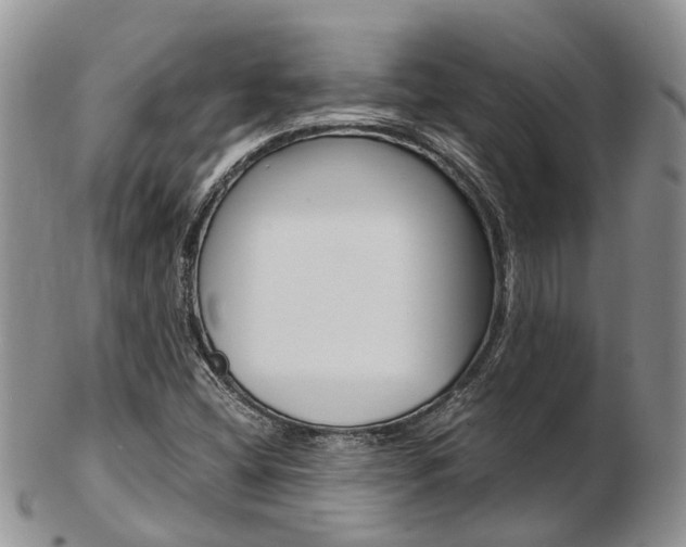 X0000103141404200808221054