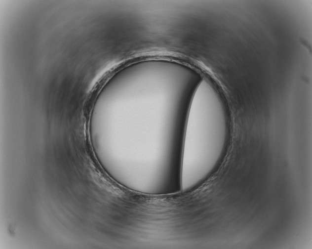 X0000103141408200808221054