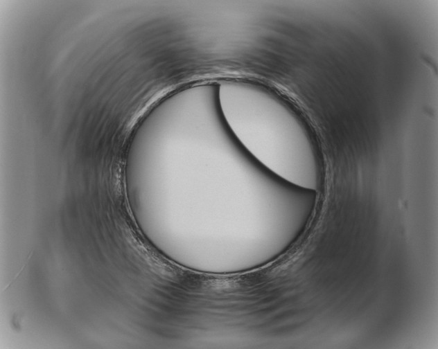 X0000103141409200808221054