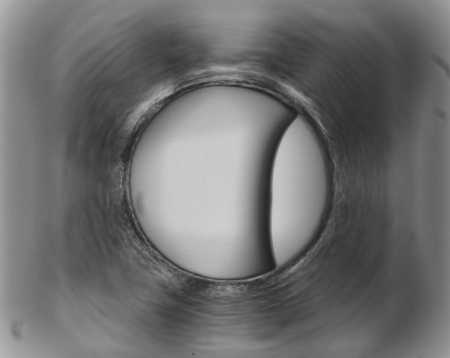 X0000103141411200808221054