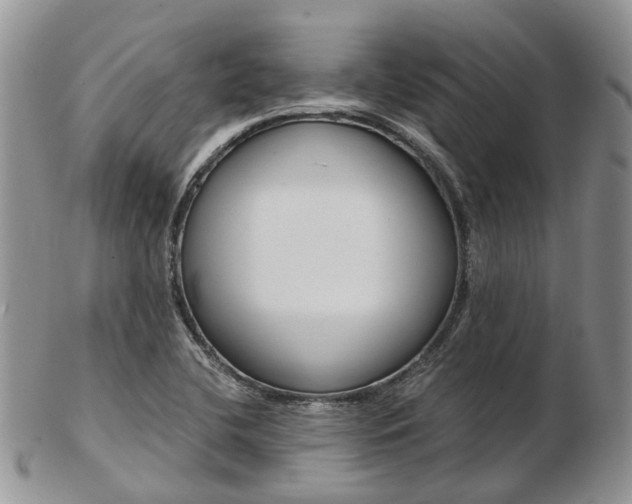 X0000103141412200808221054