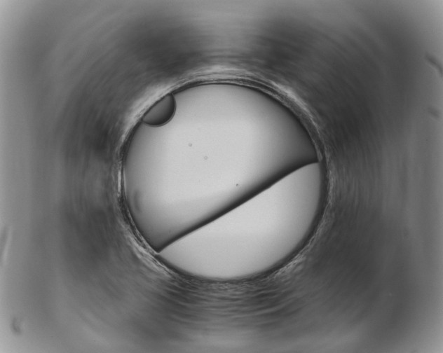 X0000103141413200808221054
