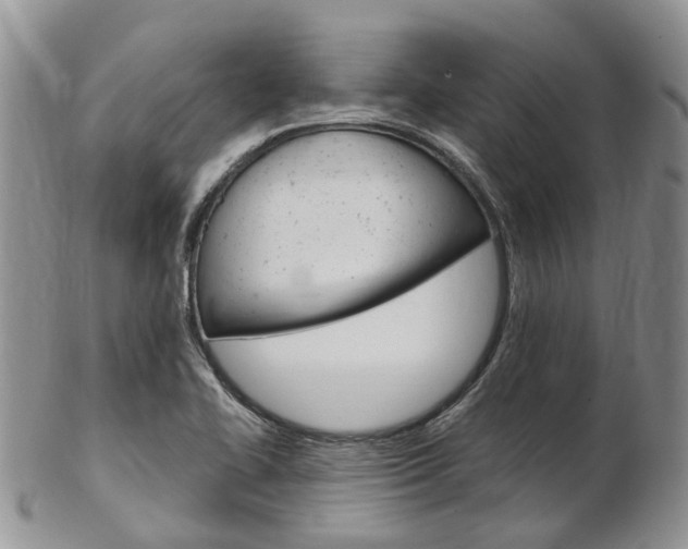 X0000103141414200808221054