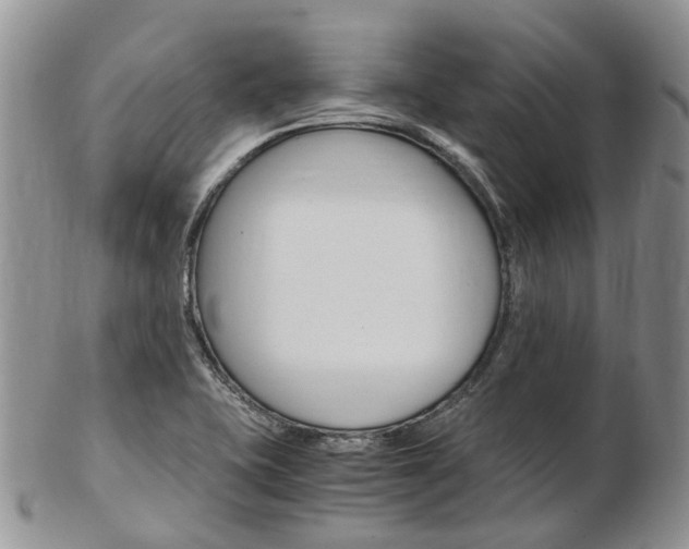 X0000103141415200808221054