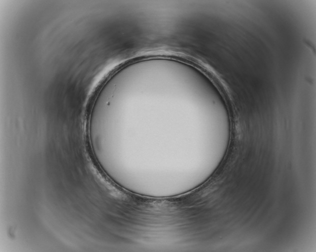 X0000103141416200808221054