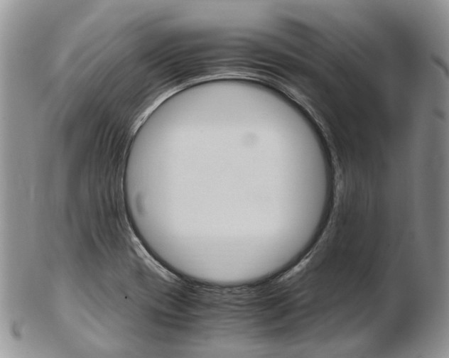 X0000103141417200808221054