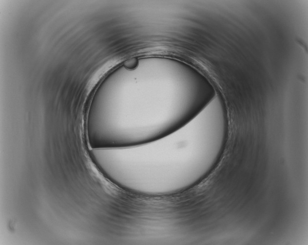 X0000103141418200808221054