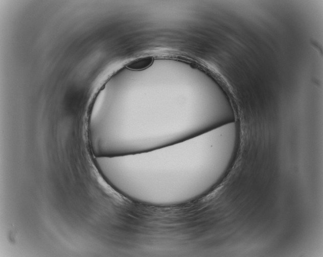 X0000103141421200808221054