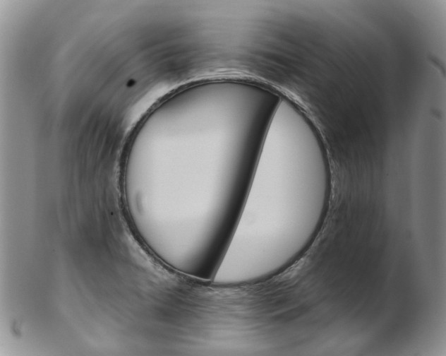 X0000103141422200808221054