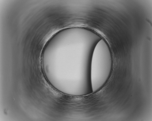 X0000103141423200808221054