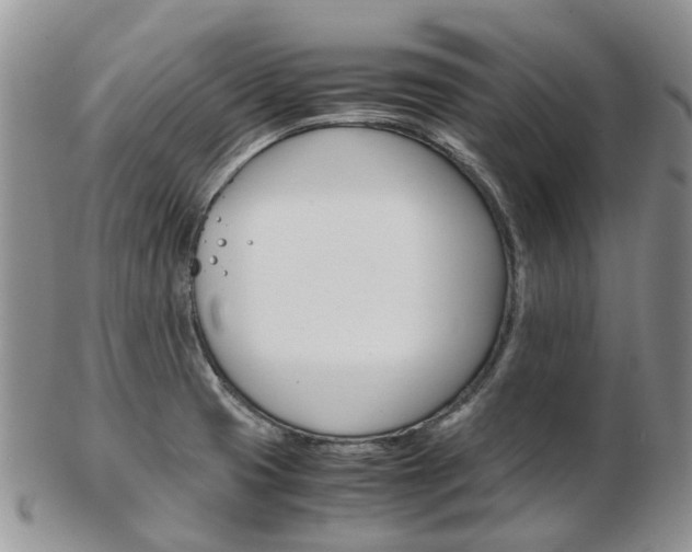X0000103141425200808221054