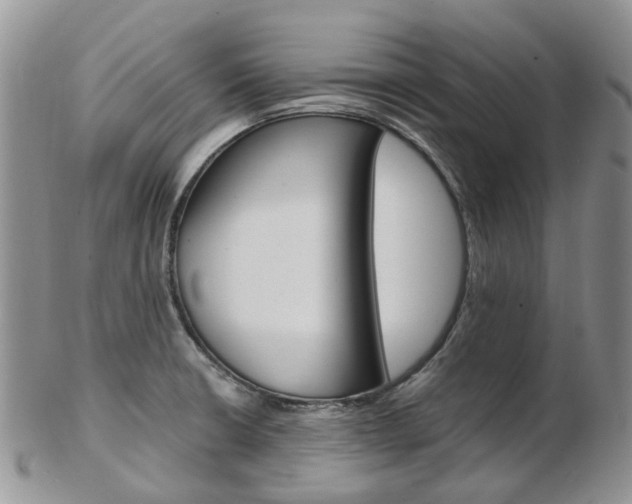 X0000103141426200808221054