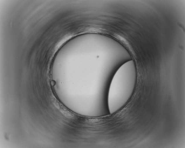 X0000103141427200808221054