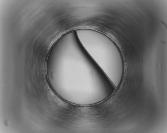 X0000103141428200808221054