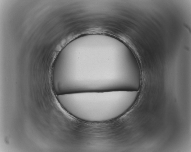 X0000103141429200808221054