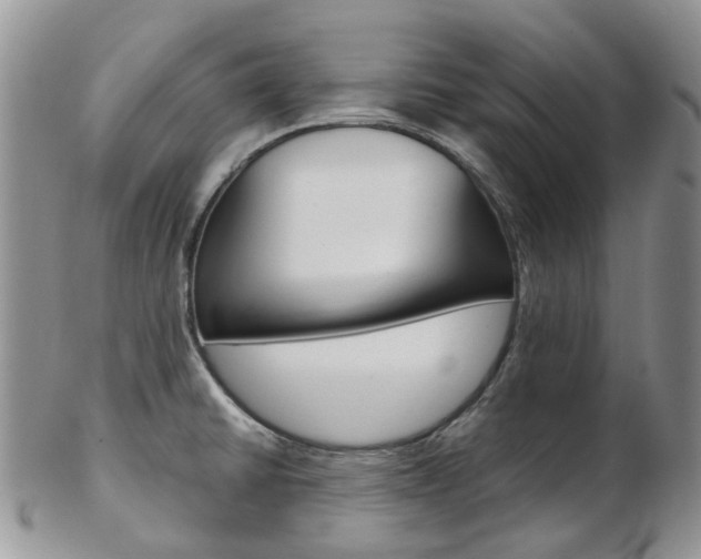 X0000103141430200808221054