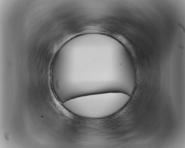 X0000103141431200808221054