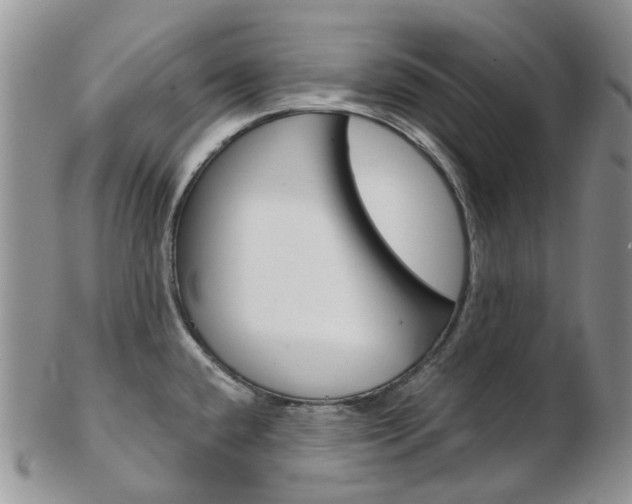 X0000103141432200808221054