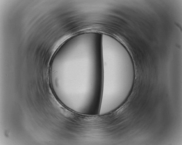 X0000103141434200808221054