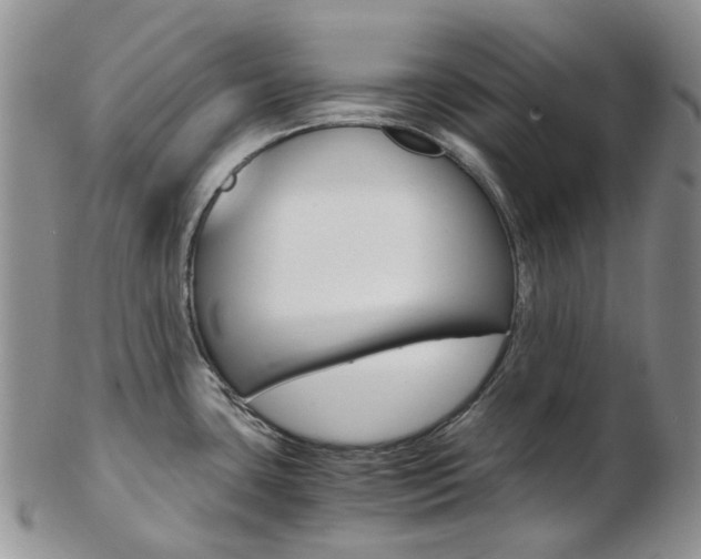 X0000103141435200808221054