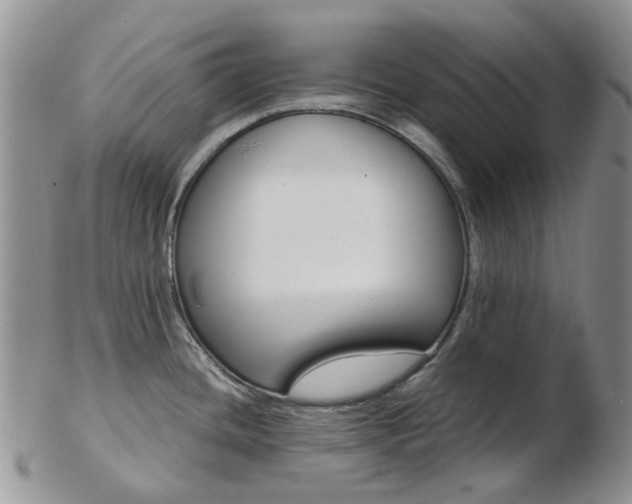 X0000103141436200808221054