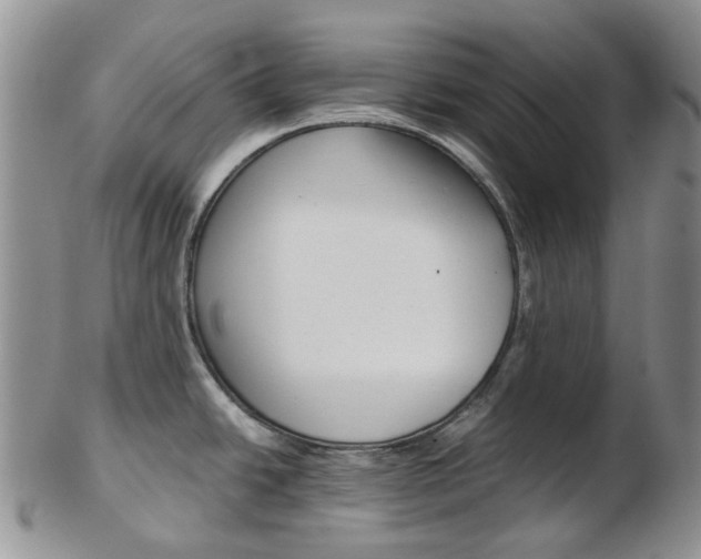 X0000103141438200808221054