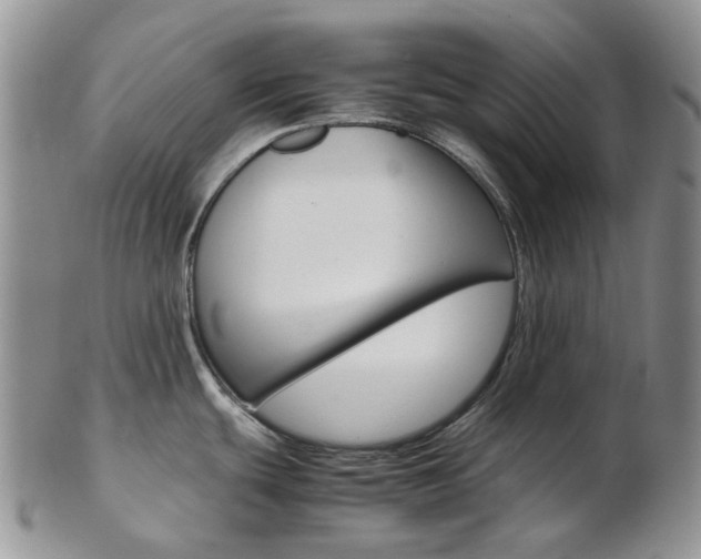 X0000103141439200808221054