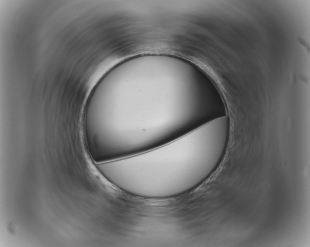X0000103141440200808221054
