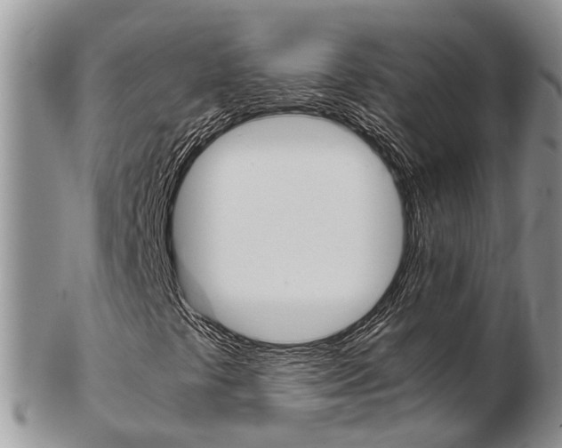 X0000103141441200808221053