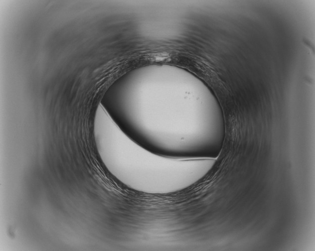 X0000103141442200808221053