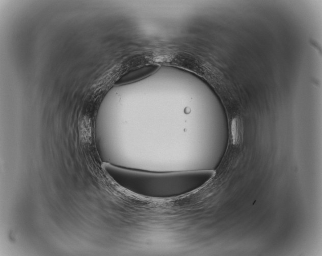 X0000103141443200808221053