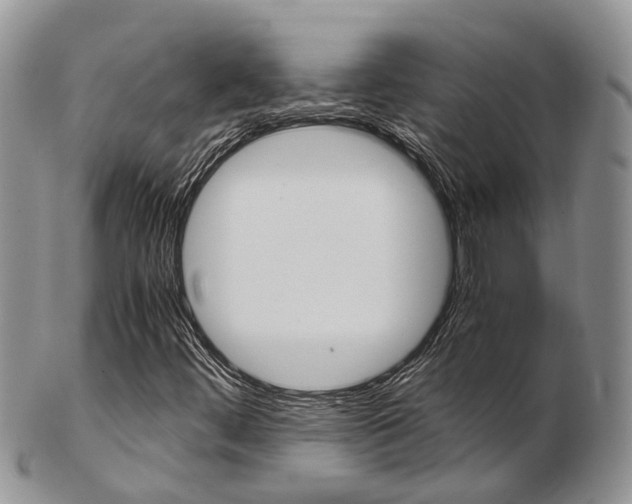 X0000103141444200808221053