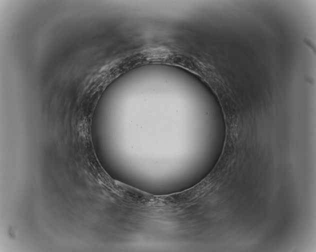 X0000103141445200808221053
