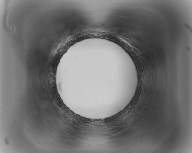 X0000103141447200808221053
