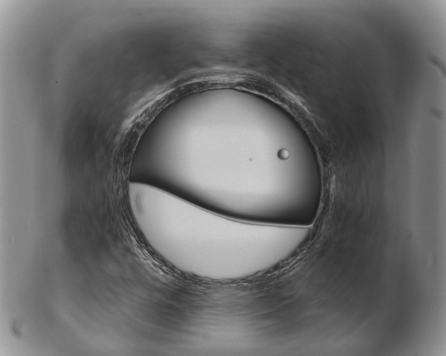 X0000103141448200808221053