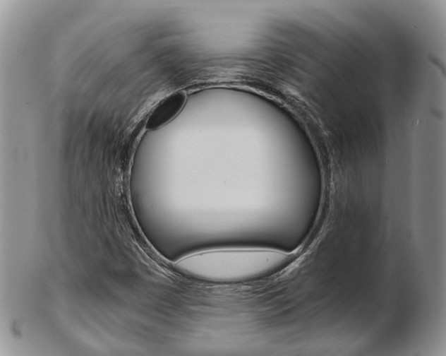 X0000103141449200808221053