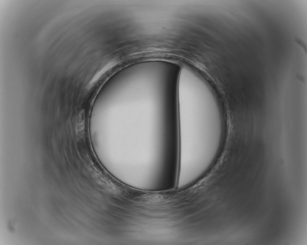 X0000103141450200808221053