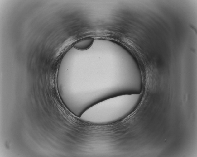 X0000103141451200808221053