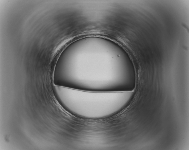 X0000103141452200808221053