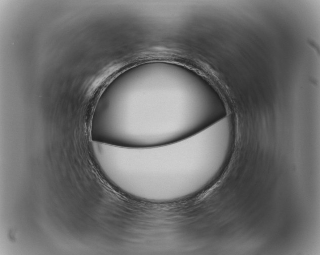 X0000103141453200808221053