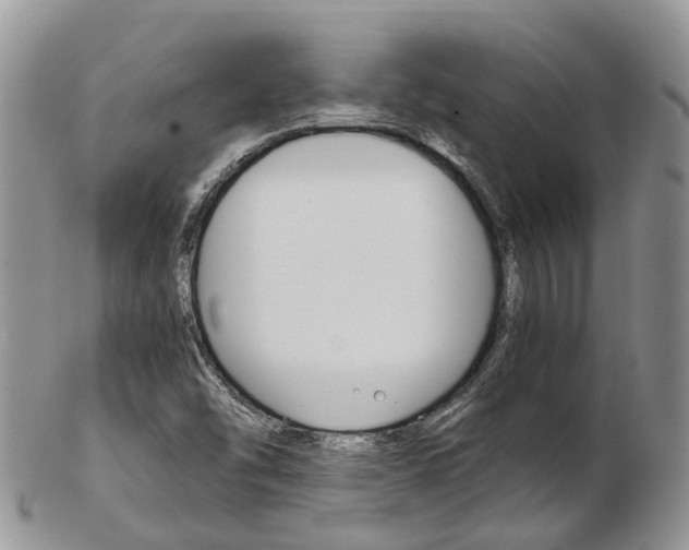 X0000103141454200808221053