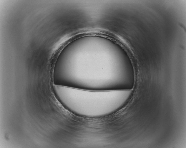 X0000103141456200808221053