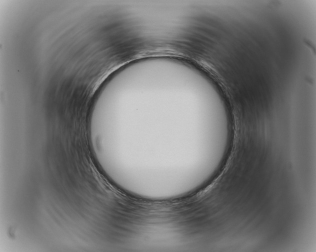 X0000103141457200808221053
