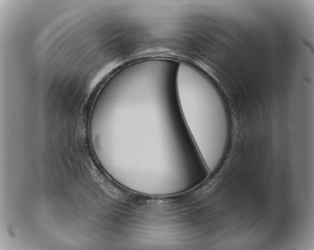 X0000103141458200808221053