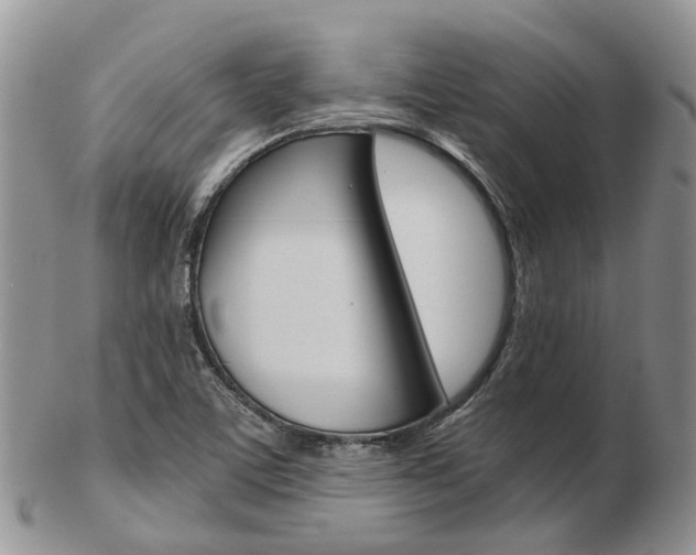X0000103141459200808221053