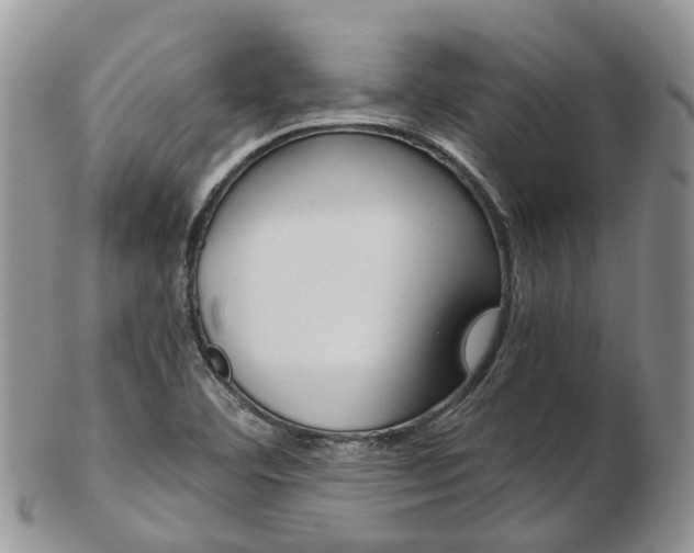 X0000103141460200808221053
