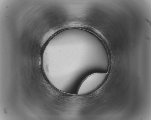 X0000103141461200808221053