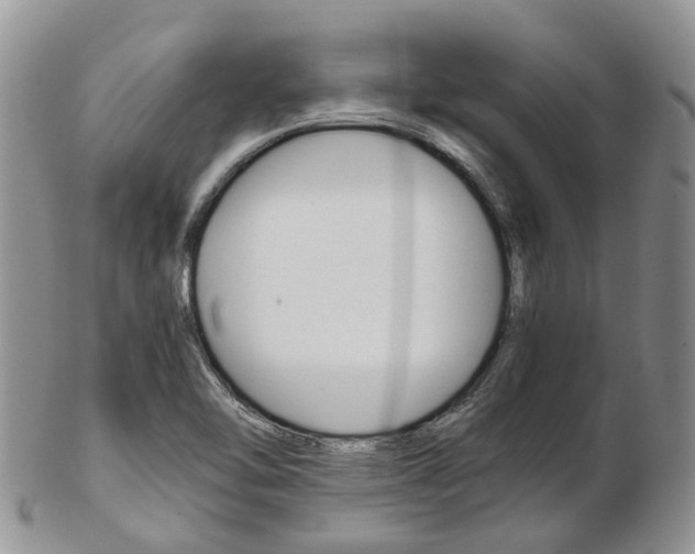 X0000103141462200808221053