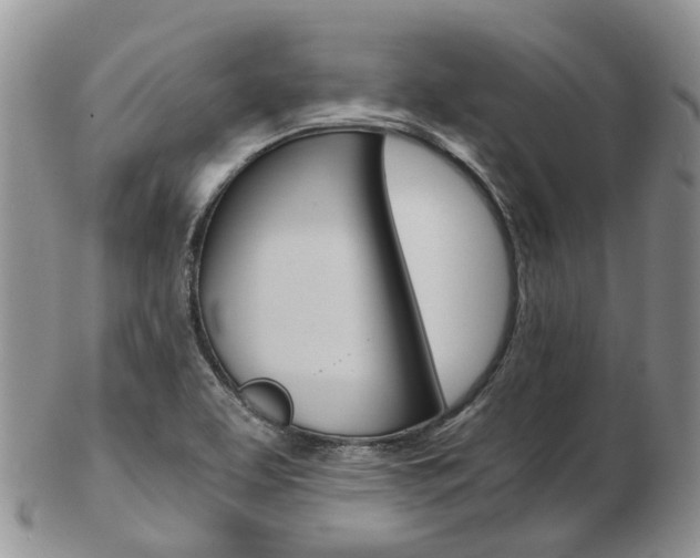 X0000103141463200808221053