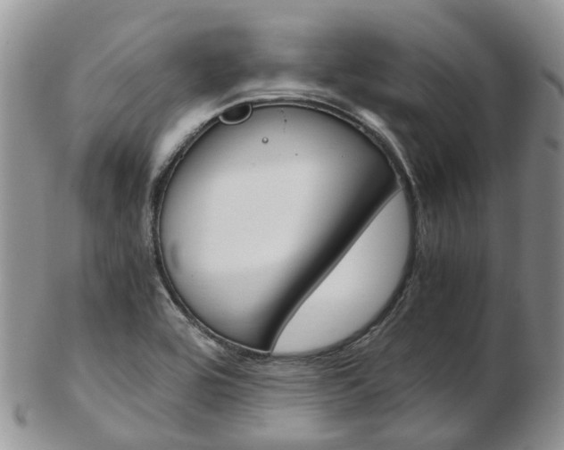 X0000103141464200808221053